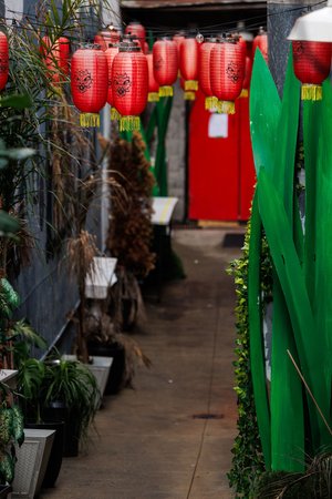 Great Star Theater alley with lanterns