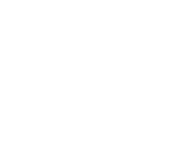 California Art Council