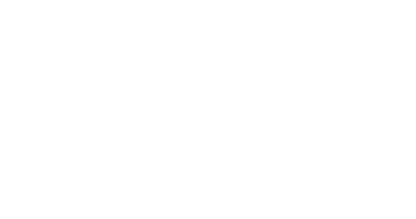 San Francisco Grants for the Arts